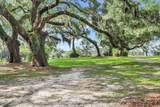 17 Barnaby Bluff - Photo 55