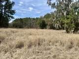 413 Somerset Drive - Photo 4