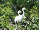 380 Marshland Road - Photo 49
