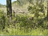00 Lowcountry Drive - Photo 1