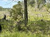 00 Lowcountry Drive - Photo 2