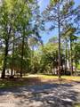 205 Distant Island Drive - Photo 6