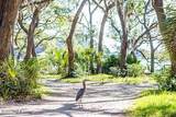 345 Distant Island Drive - Photo 12