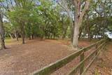 71 Tropicana Road - Photo 15