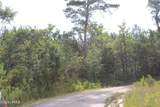 813 Doctor Young Road - Photo 3