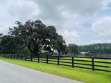 40 Rose Dhu Creek Plantation - Photo 94