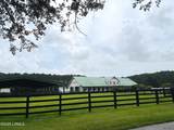 40 Rose Dhu Creek Plantation - Photo 95