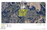 23 Joe Frazier Road - Photo 6