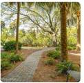 34 Forest Beach Drive - Photo 10