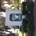 1231 Ladys Island Drive - Photo 1