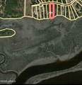 481 Paige Point Bluff - Photo 15