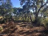 481 Paige Point Bluff - Photo 3