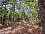 000 Lowcountry Drive - Photo 23