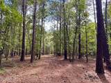 000 Lowcountry Drive - Photo 3