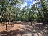 000 Lowcountry Drive - Photo 36