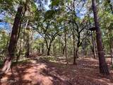 000 Lowcountry Drive - Photo 65
