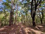 000 Lowcountry Drive - Photo 67