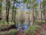 000 Lowcountry Drive - Photo 72