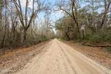 164 Paige Point Bluff - Photo 58
