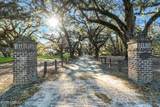 893 Grays Highway - Photo 1