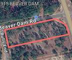 Tbd Beaver Dam Road - Photo 10