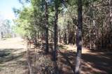 2650 Joe Miley Road - Photo 10
