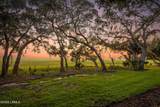 30 Haven - Photo 6