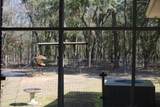 1013 Allen Street - Photo 11