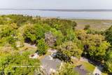 215 Black Skimmer Drive - Photo 3