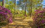 64 Dulamo Bluff - Photo 45