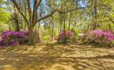 64 Dulamo Bluff - Photo 63