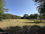 113 Cherokee Farms Road - Photo 14