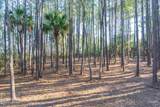 509 Pinckney Colony Road - Photo 20