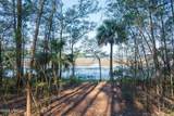 509 Pinckney Colony Road - Photo 8