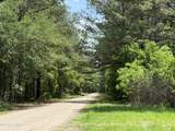 12 Rubie Lane - Photo 8
