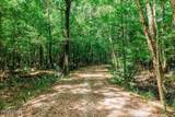 1 Parnel Road - Photo 4