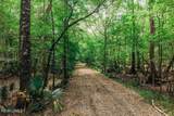 1 Parnel Road - Photo 5