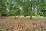 14 Palm Point Road - Photo 25