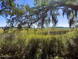 481 Paige Point Bluff - Photo 12