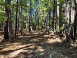 481 Paige Point Bluff - Photo 15