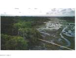 1323 Sea Island Parkway - Photo 2