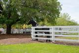 91 Great Heron Way - Photo 46