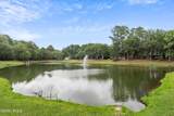 47 Gadwall Drive - Photo 38
