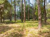 73 Bermuda Downs - Photo 30