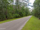 10 Barnaby Bluff - Photo 11