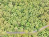 10 Barnaby Bluff - Photo 4
