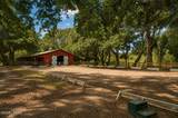 71 Tropicana Road - Photo 10