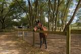 71 Tropicana Road - Photo 11