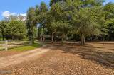 71 Tropicana Road - Photo 12