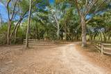 71 Tropicana Road - Photo 14